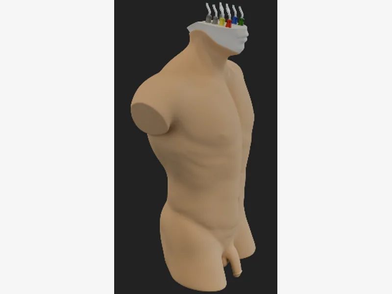Trauma Care Training Manikin – Basic
